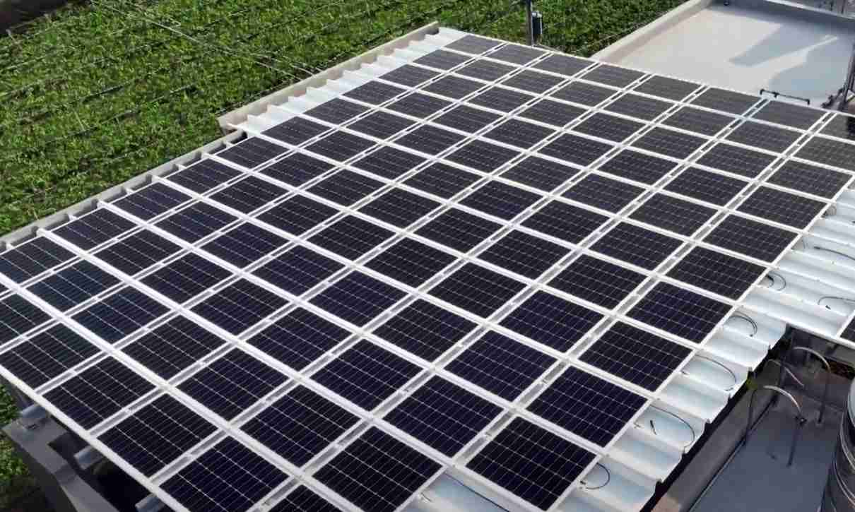 巨星国际SunSteel光电浪板升级双玻结构，，，以提升机械负载强度及气候耐候度，，，，可广泛运用于多元场域