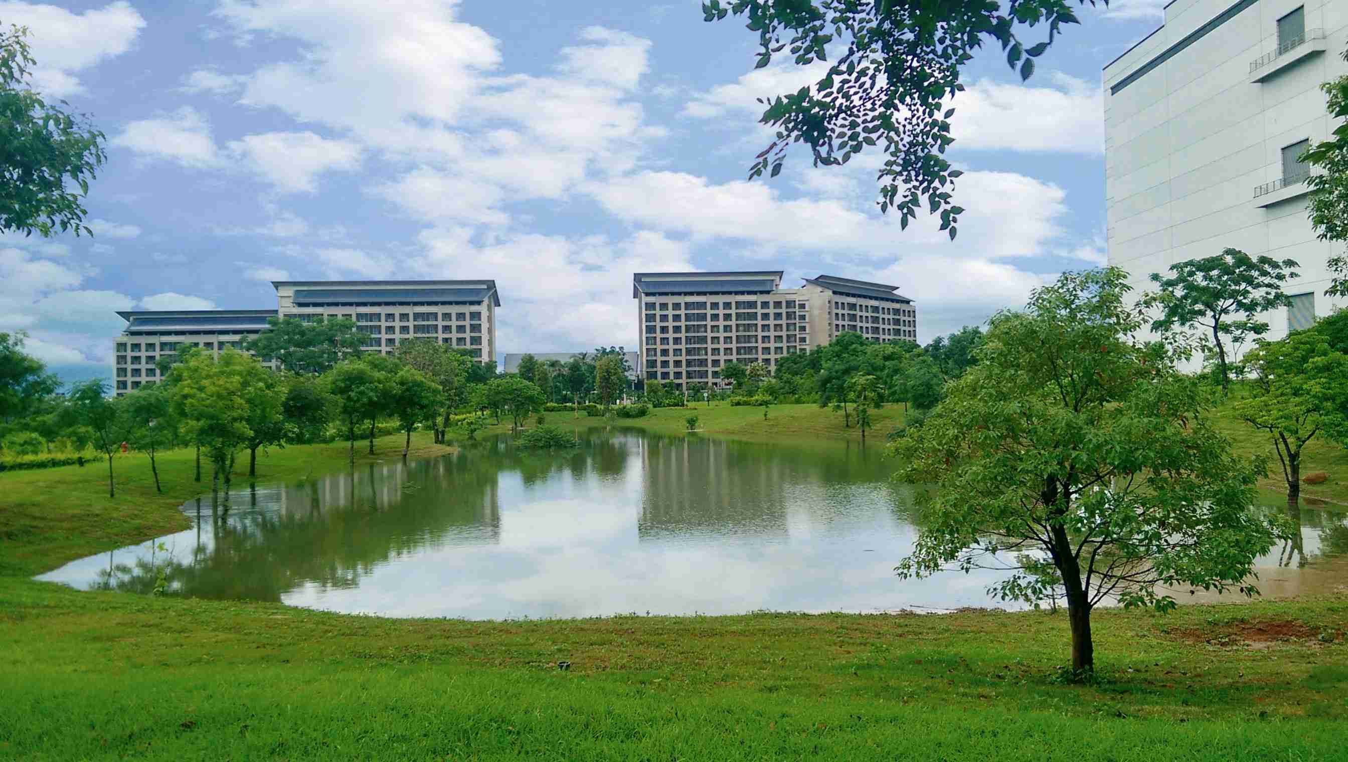 巨星国际响应国际倡议生物多样性趋势，，，，首次发布TNFD自然相关财务揭露报告书，，，，擘划及开展巨星国际生物多样性政策之承诺，，，，逐步迈向与自然和谐共生